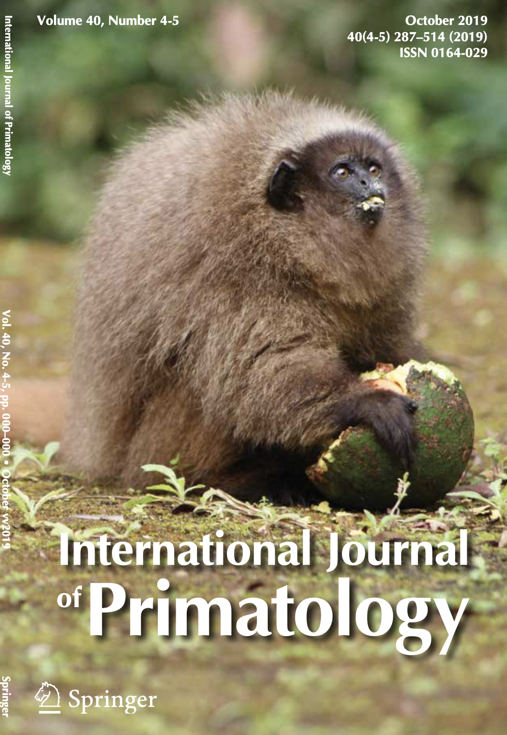 Screen Shot 2019-11-11 at 11.03.26 AM