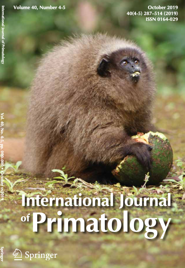 Screen Shot 2019-11-11 at 11.03.26 AM