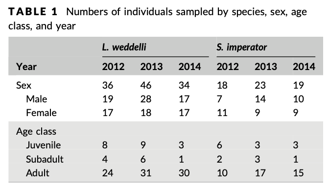 Screen Shot 2019-11-11 at 10.29.37 AM