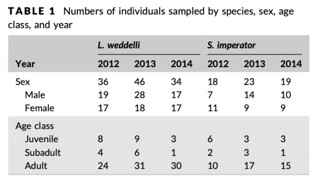 Screen Shot 2019-11-11 at 10.29.37 AM