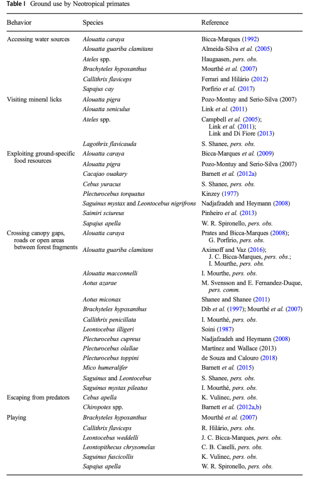 Screen Shot 2019-11-11 at 11.00.10 AM.png